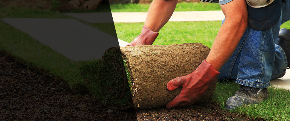 Paris Landscapers